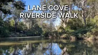 Hiking Lane Cove Riverside Walk