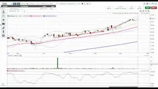 Do You Want To Buy Dollar Tree Stock? I DO!