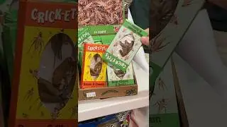 Would you eat these flavored bugs??? #cricket #bug #insects #candy #treats #food