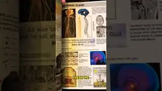 The Soul | The Body | Subconscious Mind | Higher Consciousness 🧘&zwj;♀️🧠✨️⚡️ #spirituality #higherself