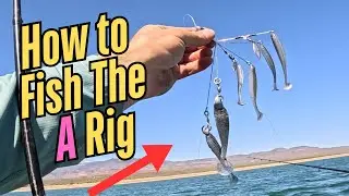 How to Fish the A Rig for Summertime Bass
