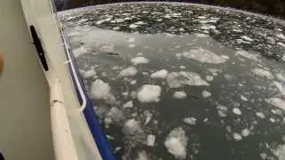 Blackstone Glacier Tour