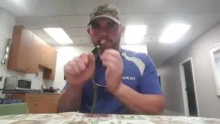 Wingbone calling