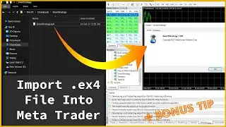 Как импортировать файл ex4 экспертного советника (EA) в Meta Trader