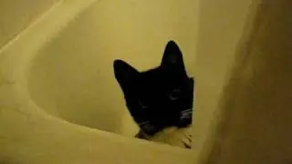 Lord Sandwich kills the camera