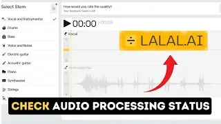 How to Check Audio Processing Status on Lalal.ai 2025?