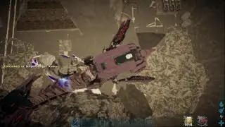 Maewin dive op