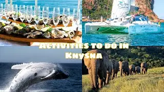 TOP 5 ACTIVITIES TO DO IN KNYSNA || TOURIST DESTINATION