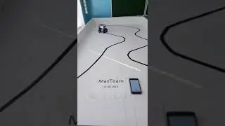 РобоФинист2018. Следование по узкой линии. Образовательные конструкторы.MaxTeam