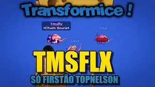 TRANSFORMICE - Tmsflx