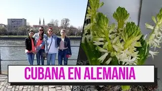 #vlog Enero 2026🇩🇪As&iacute; es mi Rutina diaria en Alemania🇩🇪#vlog #cat @YasobasLaCubanaenAlrmania 
