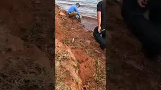 Двойной улов монстра: прекрасный улов вместе с моим братом Майком Маги: Какой потрясающий день! #...