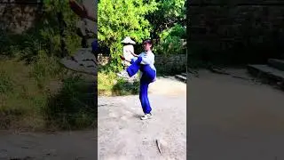 Tai Chi Workout for Weight Loss You Must Learn #chenstyletaiji #taichi