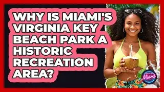 Why Is Miami's Virginia Key Beach Park A Historic Recreation Area? - Everything About Miami