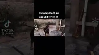 😂 #gta5clips #chop #franklin #tiktokvideos #gtastory #storymode #lamar #taurus #tcp #738 #edit