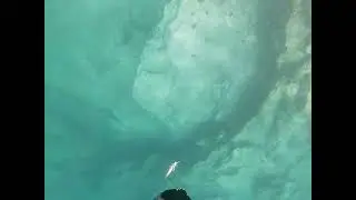 🔱Shallow spearfishing 🔱| South Albania |🐟 Red Mullet🐟 