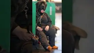 Photos Taken At Just Right Moment #viralvideo #funny #moments #fail