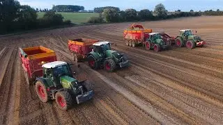 Ramassage D'OIGNONS full FENDT sur ce couché de SOLEIL ! 🤠