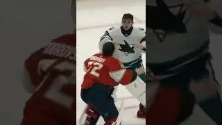 GOALIE FIGHT #nhl