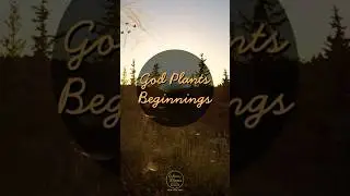 Something New Is Already Unfolding!