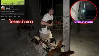 ลักไก่ดอนบ่าวลาวมาต้มกิน เกือบถูกจับได้นามีกล้องวงจรปิด|ລັກໄກ່ດອນບ່າວລາວເກືອບຖືກຈັບໄດ້