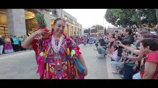 Flor de piña en la Alcaldia Tlalpan