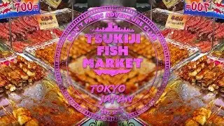Day 15 in Japan: Tsukiji Fish Market, Imperial Palace, Farewell