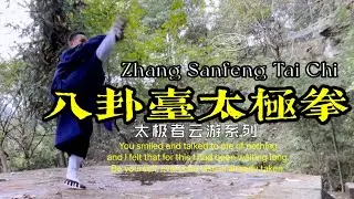 Wudang Tai Chi Chuan, Tai chi Master Huangshan Demonstration.