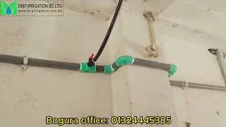 Fogger System Setup in Poultry Farm #Drip_irrigation.bd Mobile.01324445400