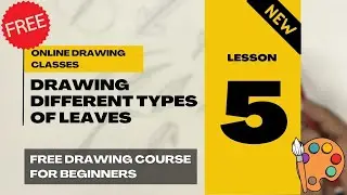 Drawing Class in Hindi | Lesson 5 | Leaves Drawing | Sketching Fundamentals | Drawing for Beginners