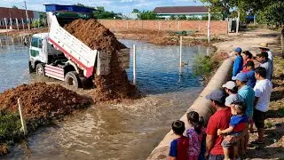 Excellent Starting A New Project! Fill Land Up On The Flooded Process by Bulldozer D21P & Dump 5 ton