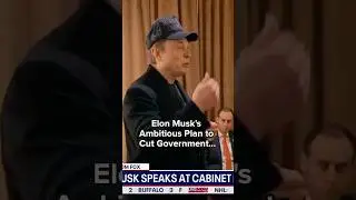 Elon Musk's Ambitious Plan to Cut Government Waste