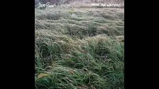 Steve Gunn - Music for Writers - 02 Safety