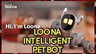 LOONA INTELLIGENT ROBOT