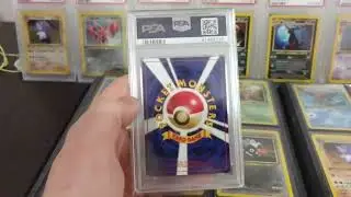Psa 10 Neo Discovery Butterfree Holo Japanese. Plus New Collector