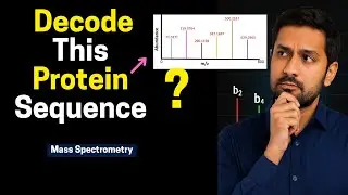 How to Crack Peptide Sequence from Mass Spectrum | Concept Explained I Mass Spectrometry