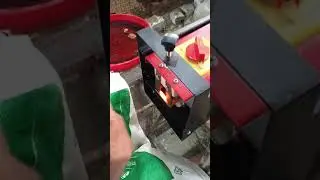 Debeaking of Poultry (Kaveri Improved Backyard Chicken)