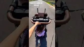 Larktale RideAlong Board LARK-ROSY saves #larktale #strollerwagon #strolleraccessories #keenz