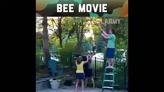 Bee attack | funny peoples