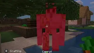 First video ever