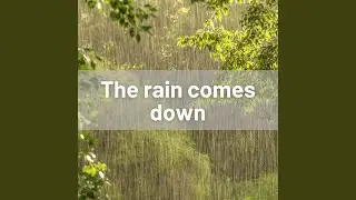 The rain comes down
