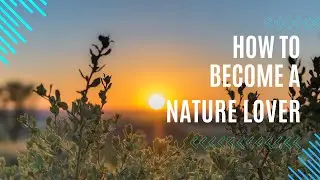 22 Simple Tricks to Improve Your LANDSCAPE Photography Today
