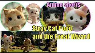 Anime shorts  EP1 Stray Cat Poco and Great Wizard  ショートアニメ 