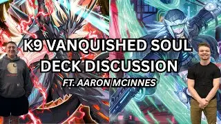 How Should YOU Play K9 Vanquish Soul Ft. @AaronMcInnes