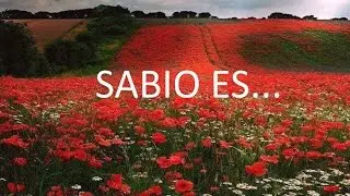 Sabio es