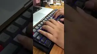 SK64 with Lubed optical gateron yellow modded typing sound