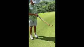 Honu Putter Golfs best gift