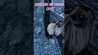Selandrina  Mom Spider is Dead 😃😃 Luna bala song #shorts #ytshorts #funny #horror #stromerider