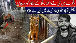 Faisalabad Main Shair Bayqaboo / Pinjray Main Wild Life Aihlekar Ko daboach liyah 