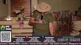 LIVE DIEGO FANTINE E MARQUINHOS - APAE TAIA&Ccedil;U